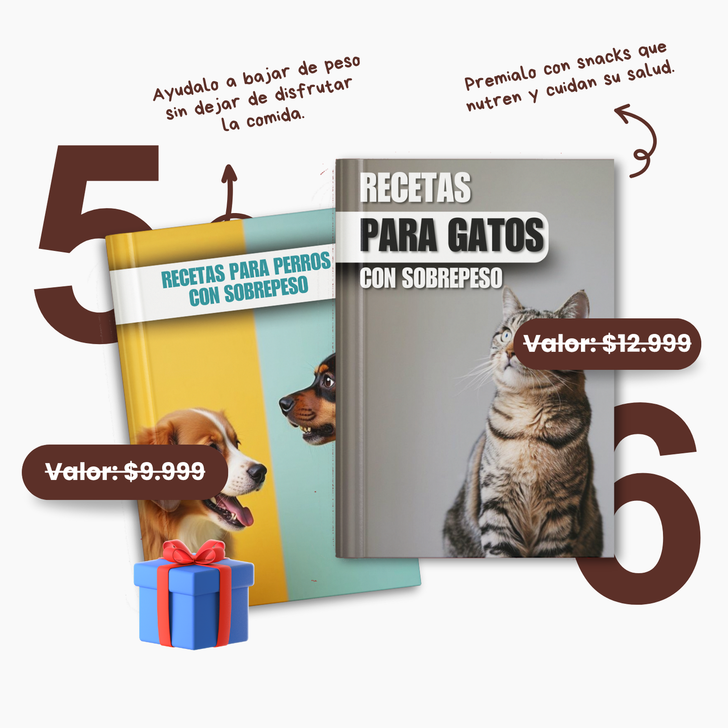+450 Recetas Naturales para Perros y Gatos +15 BONOS de REGALO 🎁